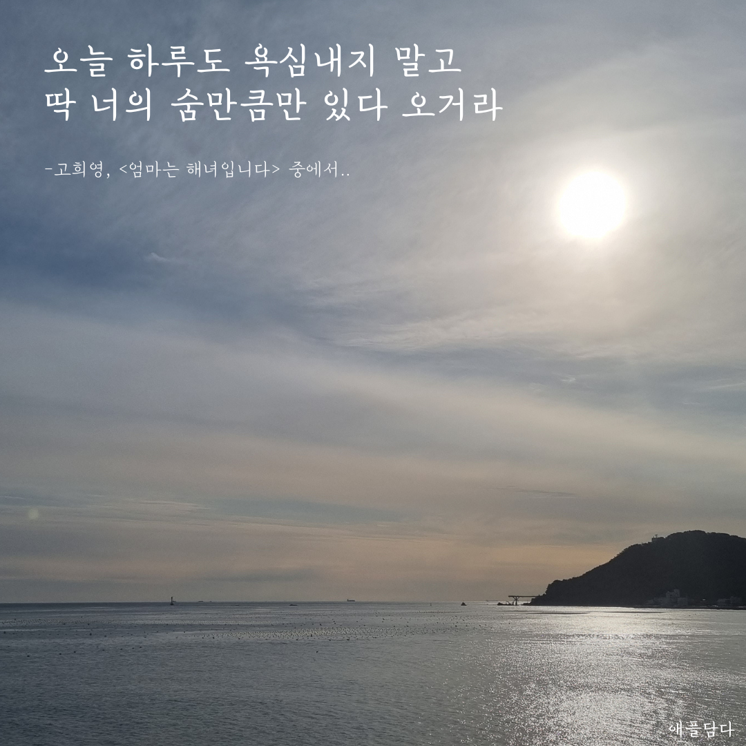 당신만을 위해 특별히 우려냈습니다 (2).png