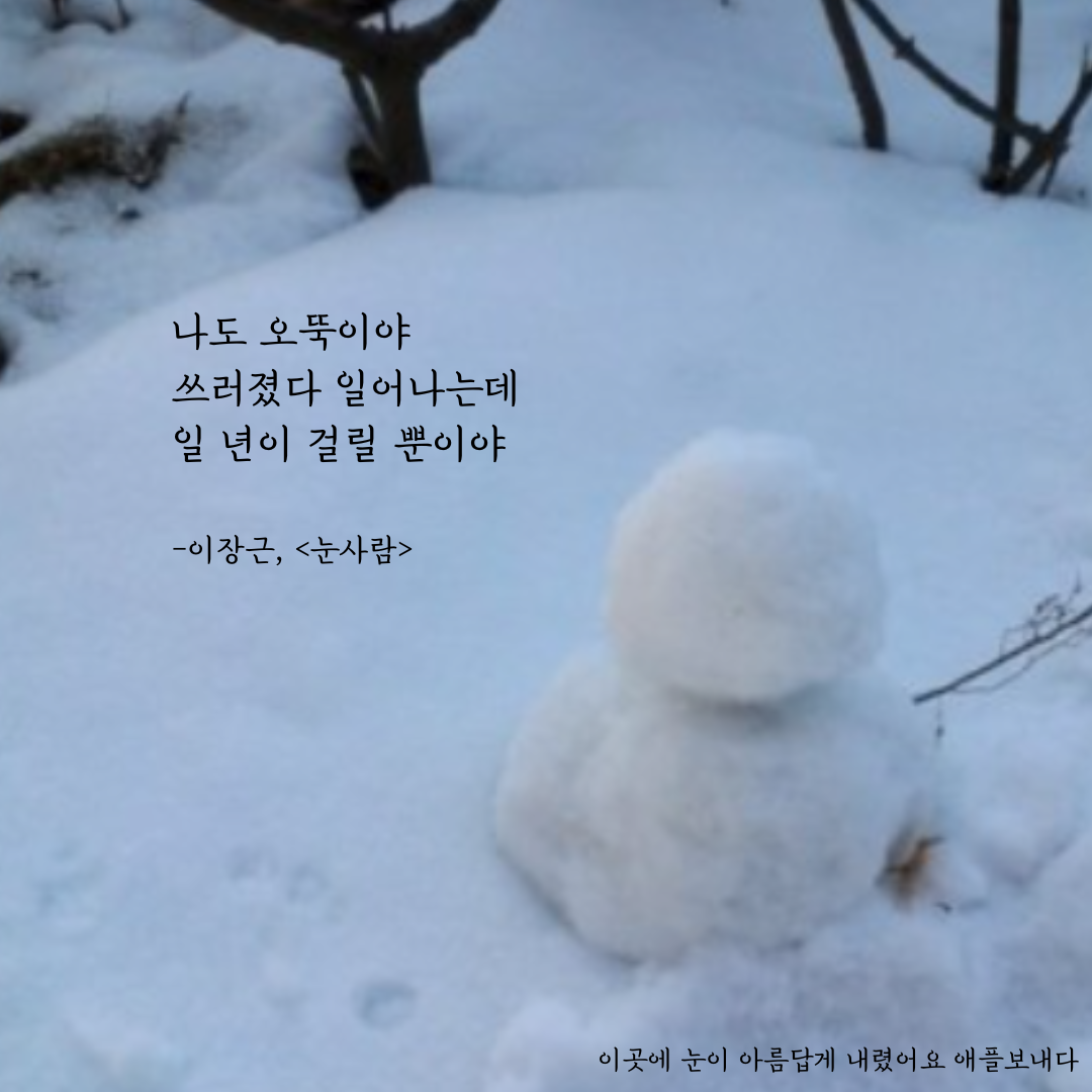 나는 오뚝이야 쓰러졌다 일어나는데 일 년이 걸릴 뿐이야 -이장근, 눈사람 (2).png