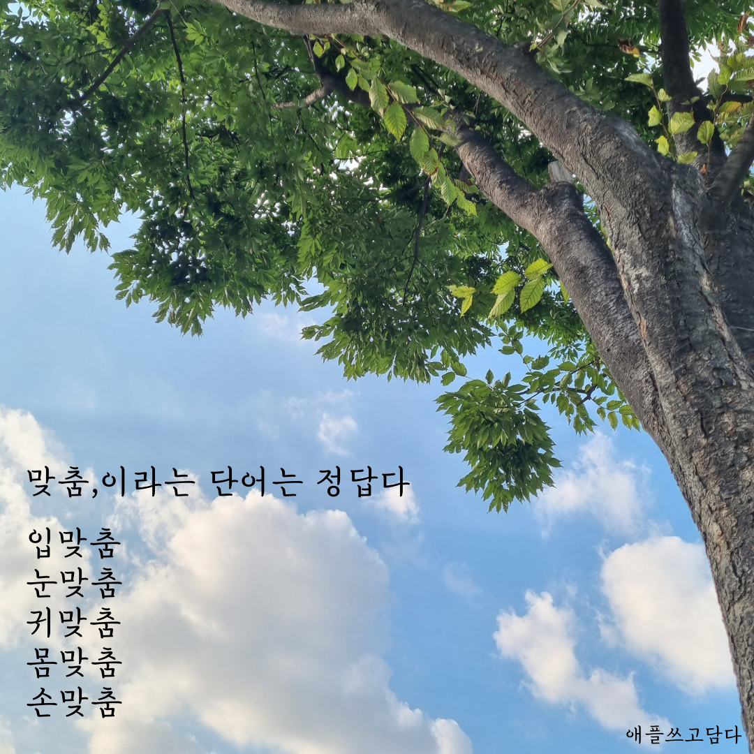 맞춤이라는 단어는 정답다 입맞춤 눈맞춤 귀맞춤 몸맞춤 손맞춤.png