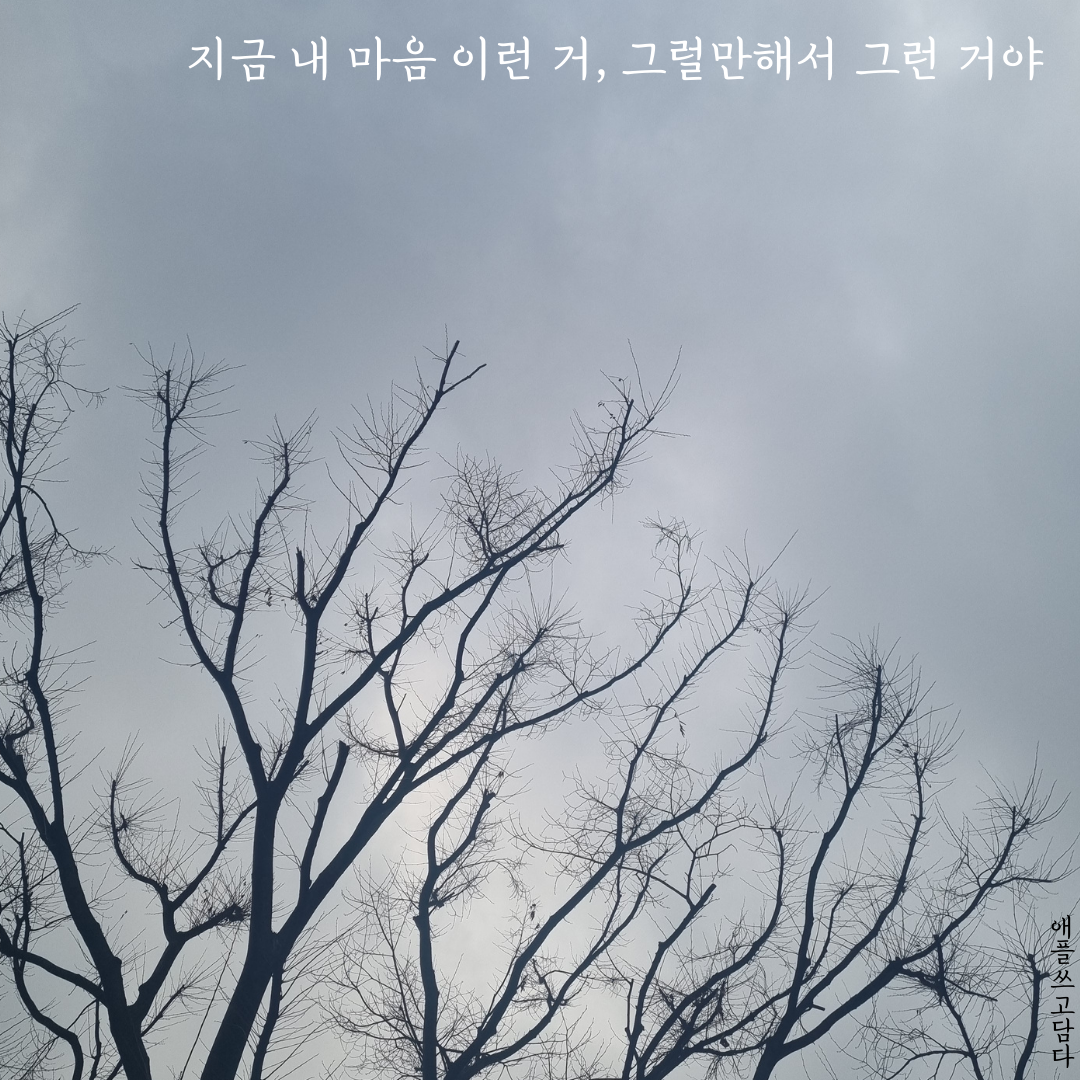 지금 내 마음 이런 거, 그럴만해서 그런 거야.png