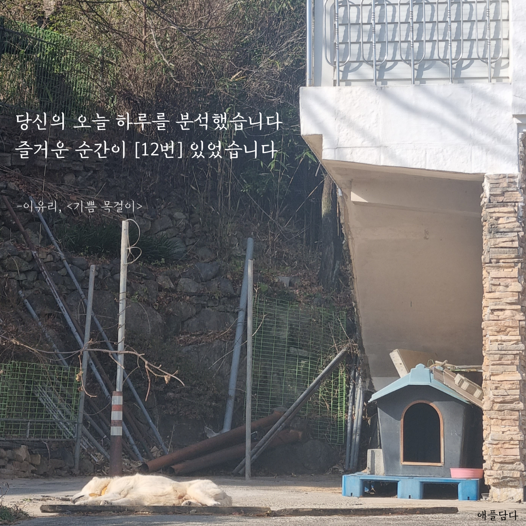 당신의 오늘 하루를 분석했습니다. 즐거운 순간이 [12번] 있었습니다..png