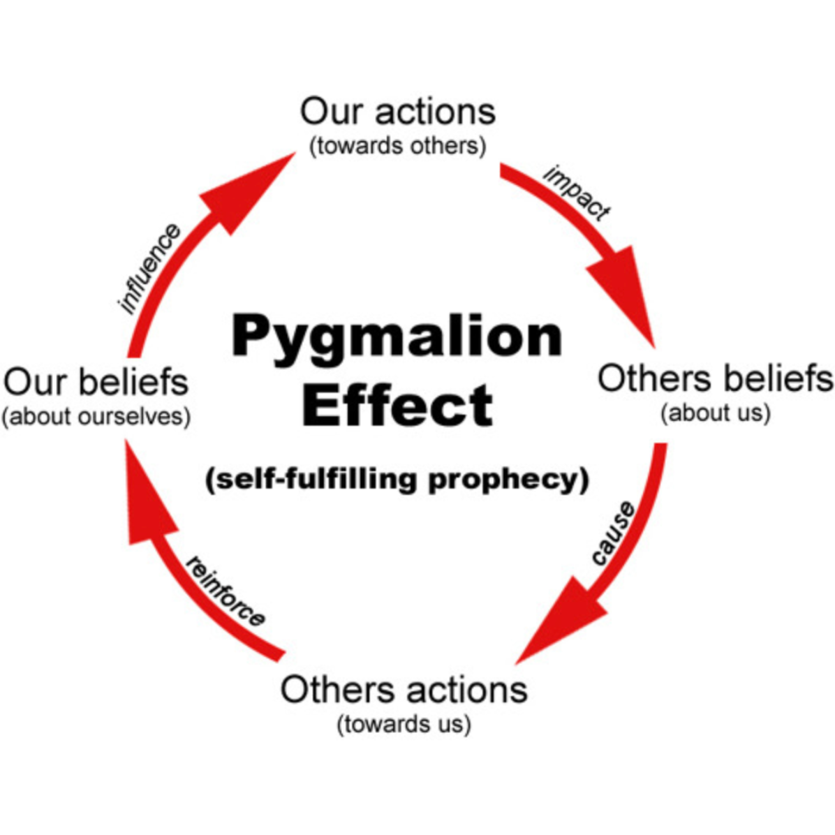 Screen Shot 2022-11-29 at 12.47.28 PM.png