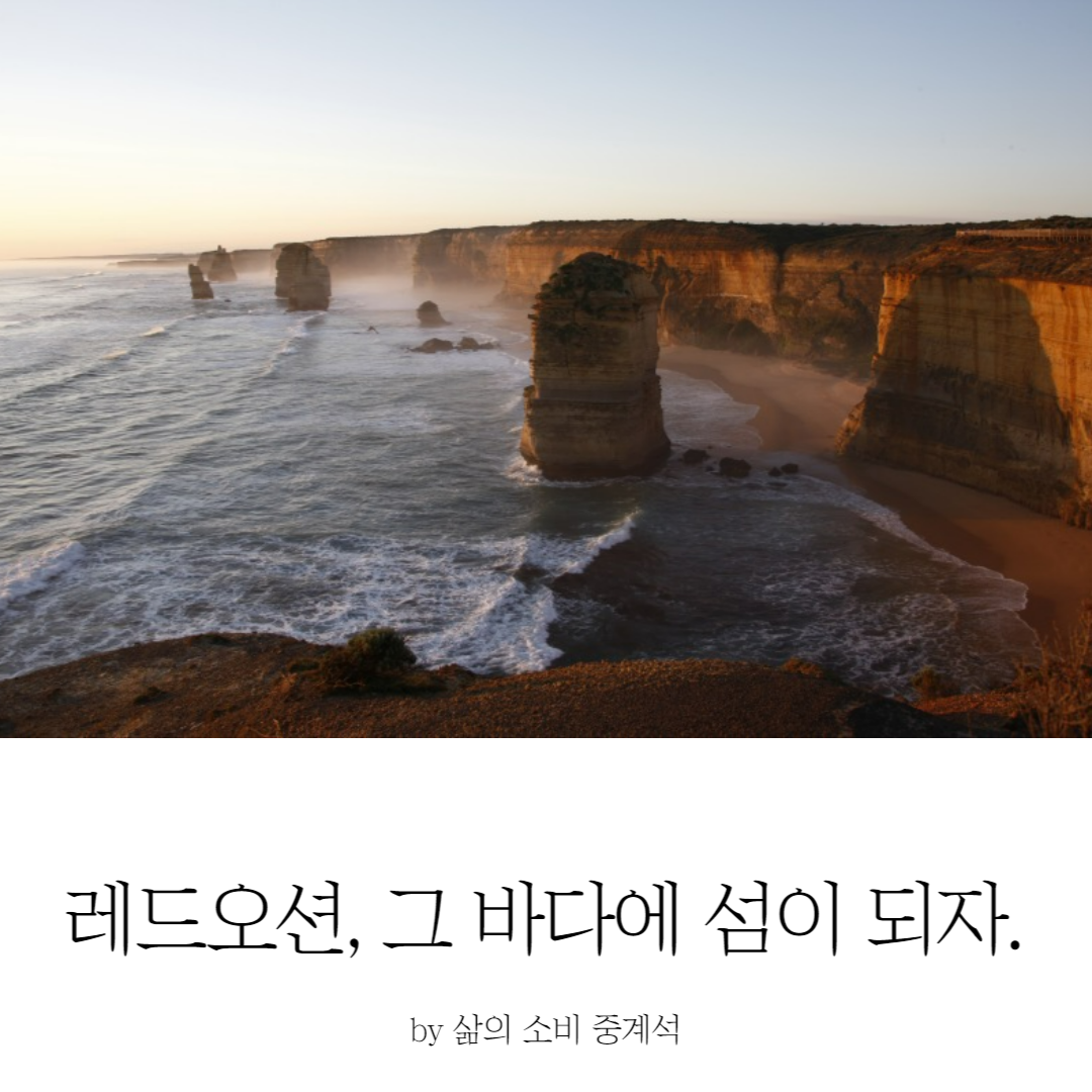 제목을 입력해주세요_-006 (13).png