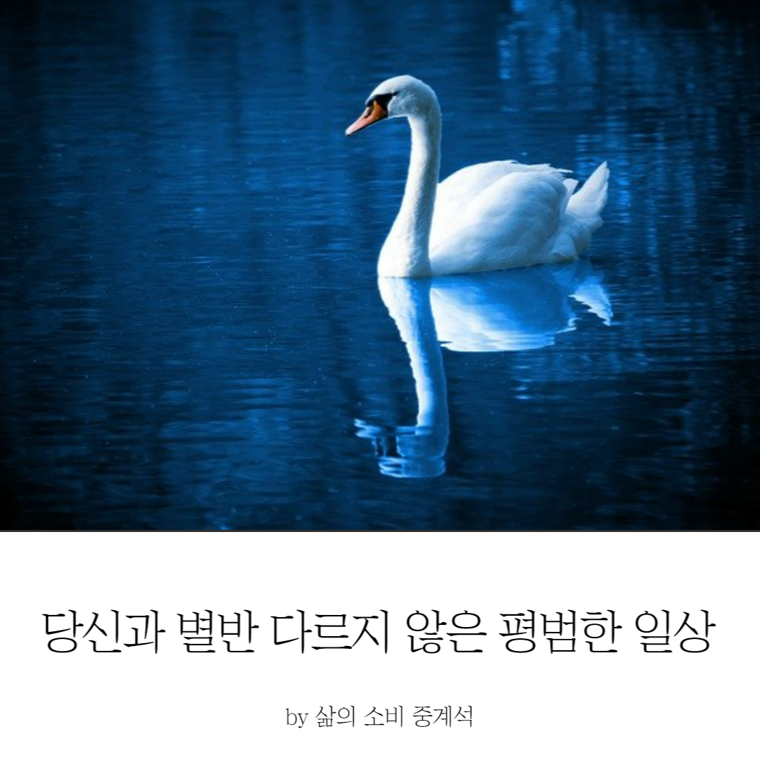 제목을 입력해주세요_-003 (13).png