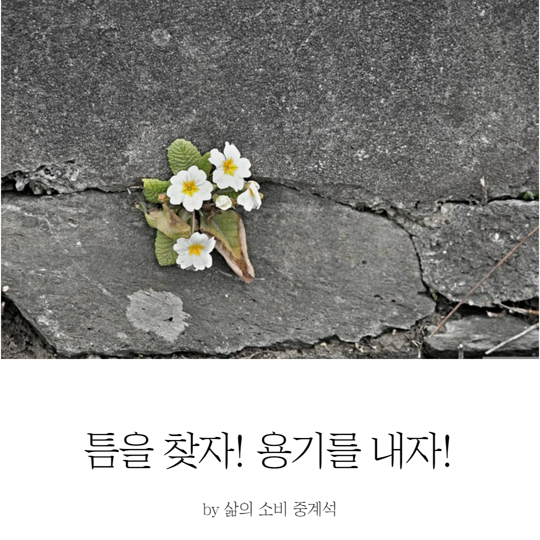 제목을 입력해주세요_-007 (13).png