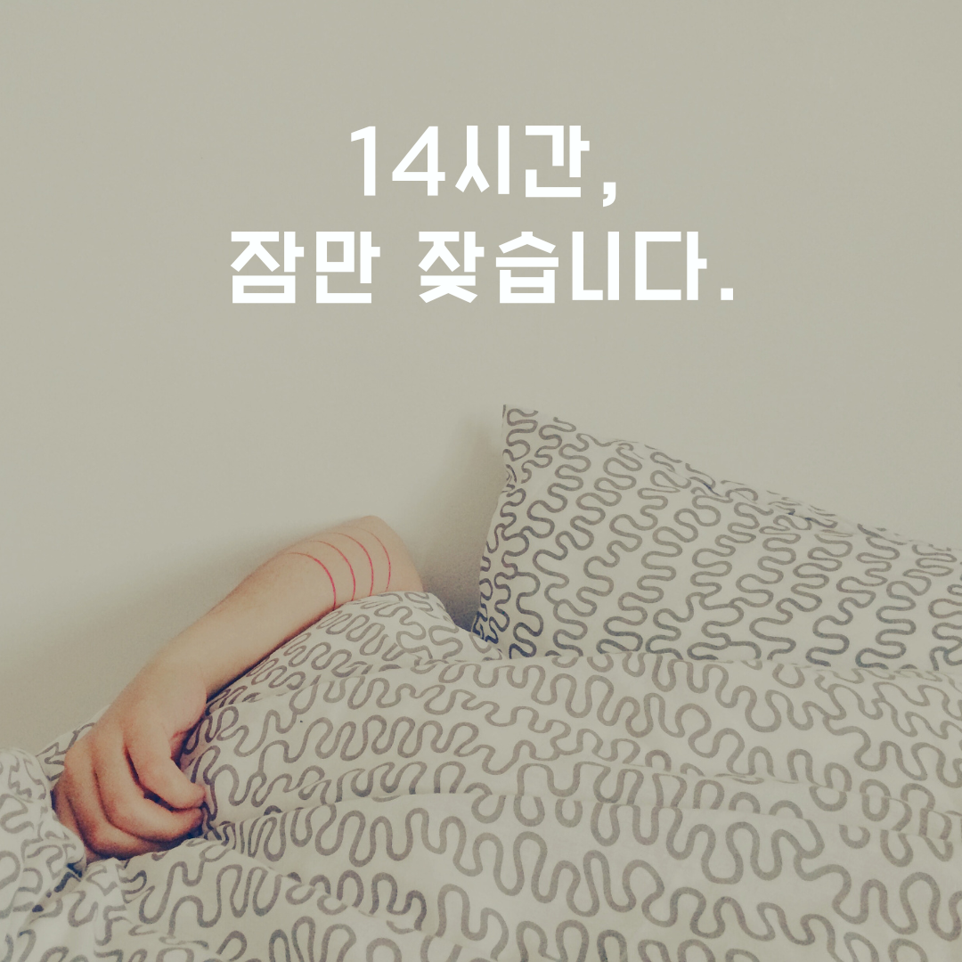14시간 꼼짝 않고 잠만 잦습니다..png