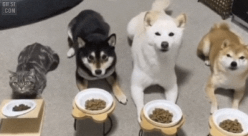 스크린샷 2022-11-13 오후 5.43.50.png