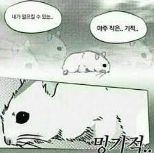 스크린샷 2023-07-23 오후 11.31.23.png