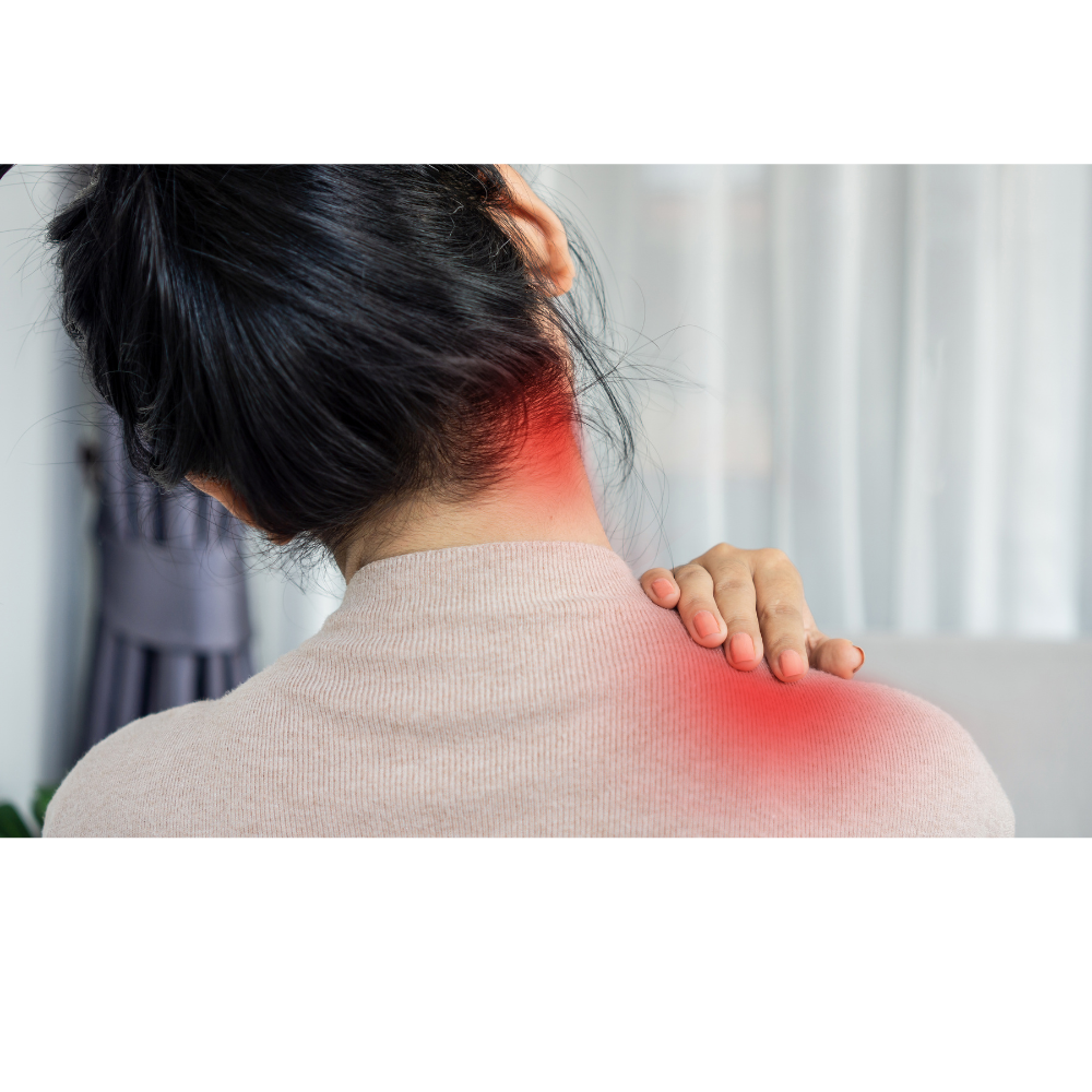 제목 없는 디자인 (3).png