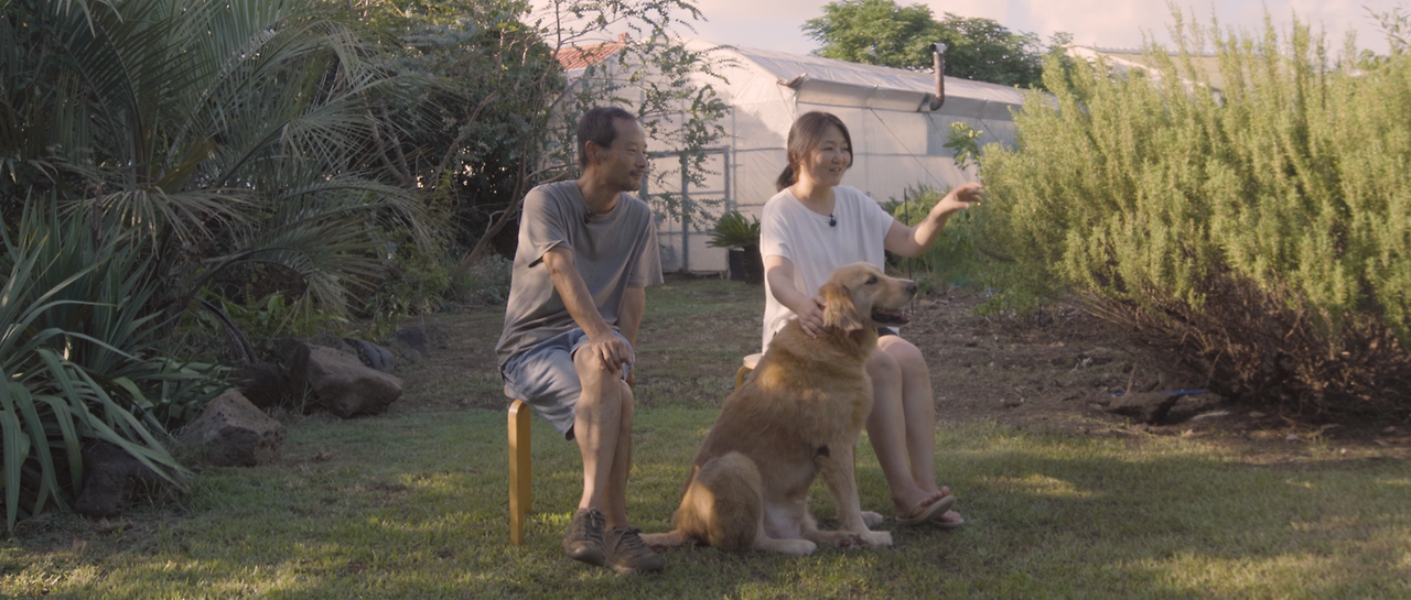 KA_집에 살던 새는 모두 어디로 갔을까_The Birds Who Lived Home - Where Did You All Go__02.png