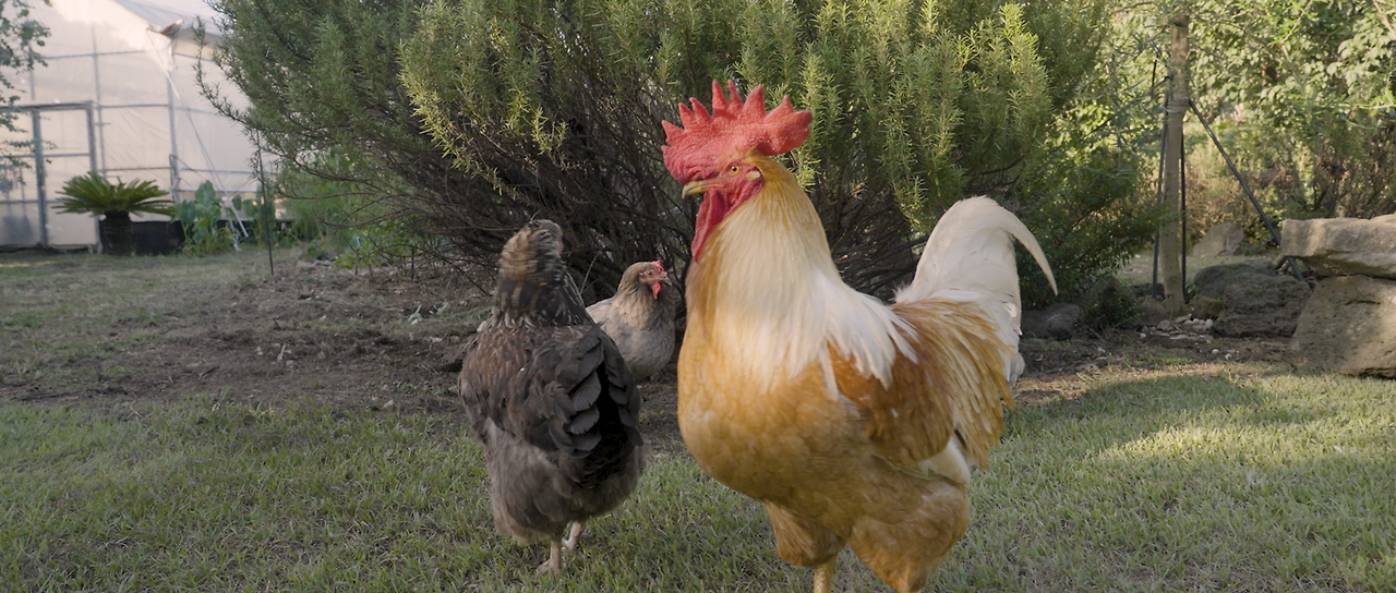 KA_집에 살던 새는 모두 어디로 갔을까_The Birds Who Lived Home - Where Did You All Go__main.png