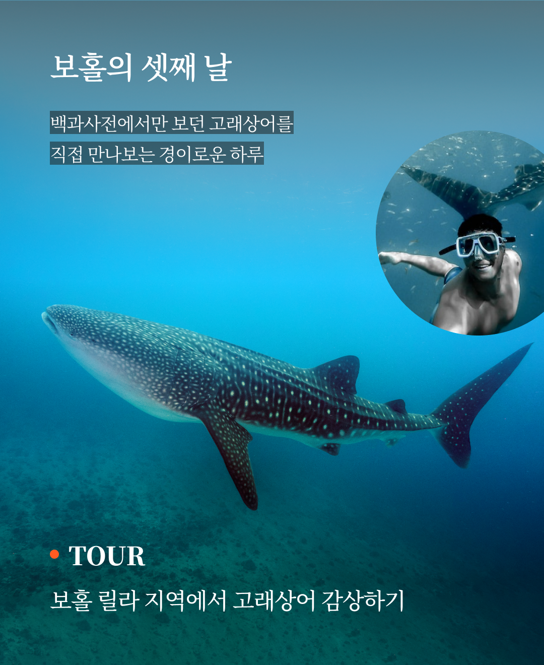 OV 상품 소개_보홀_07.png