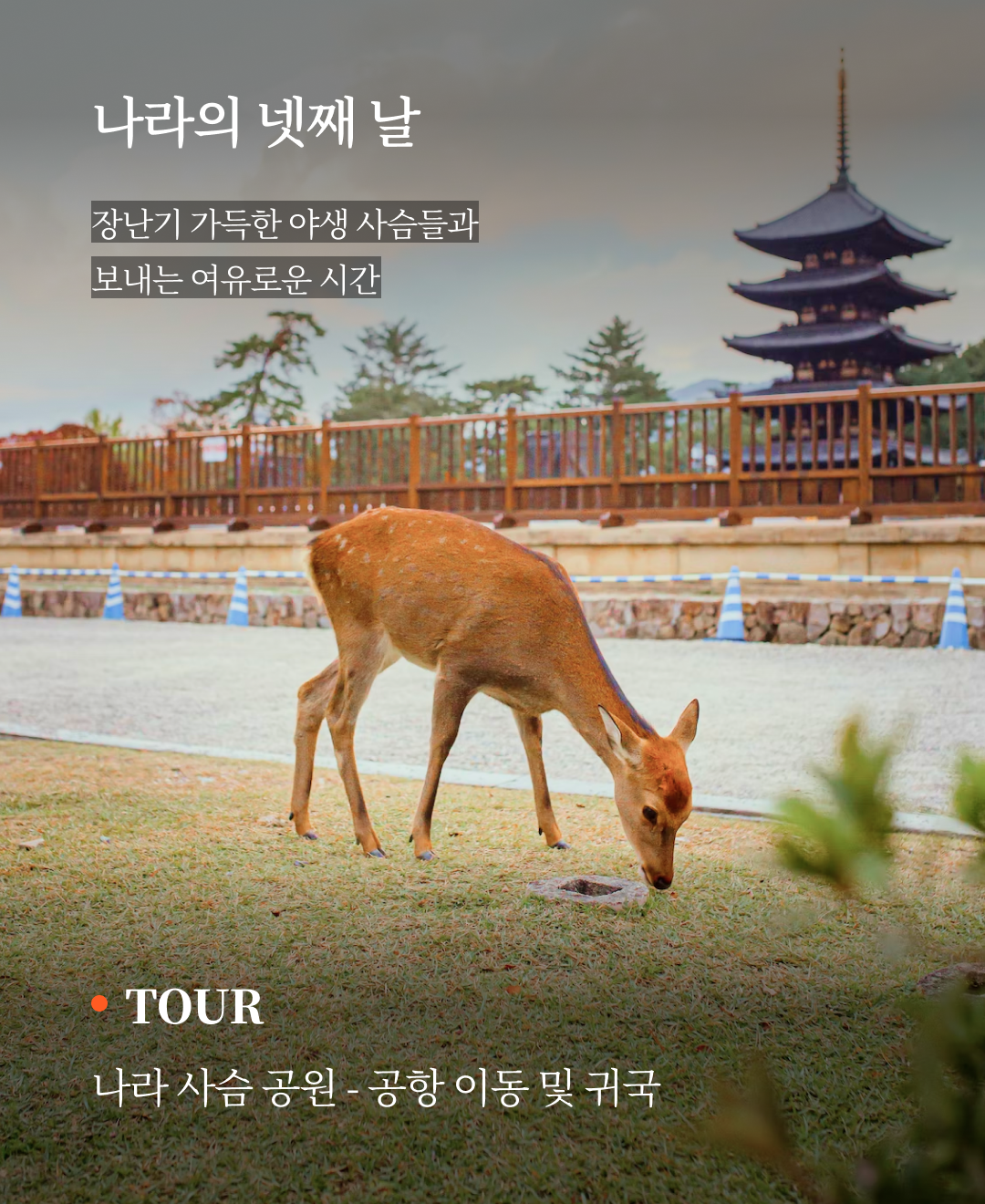 OV 상품 소개_오사카_08.png