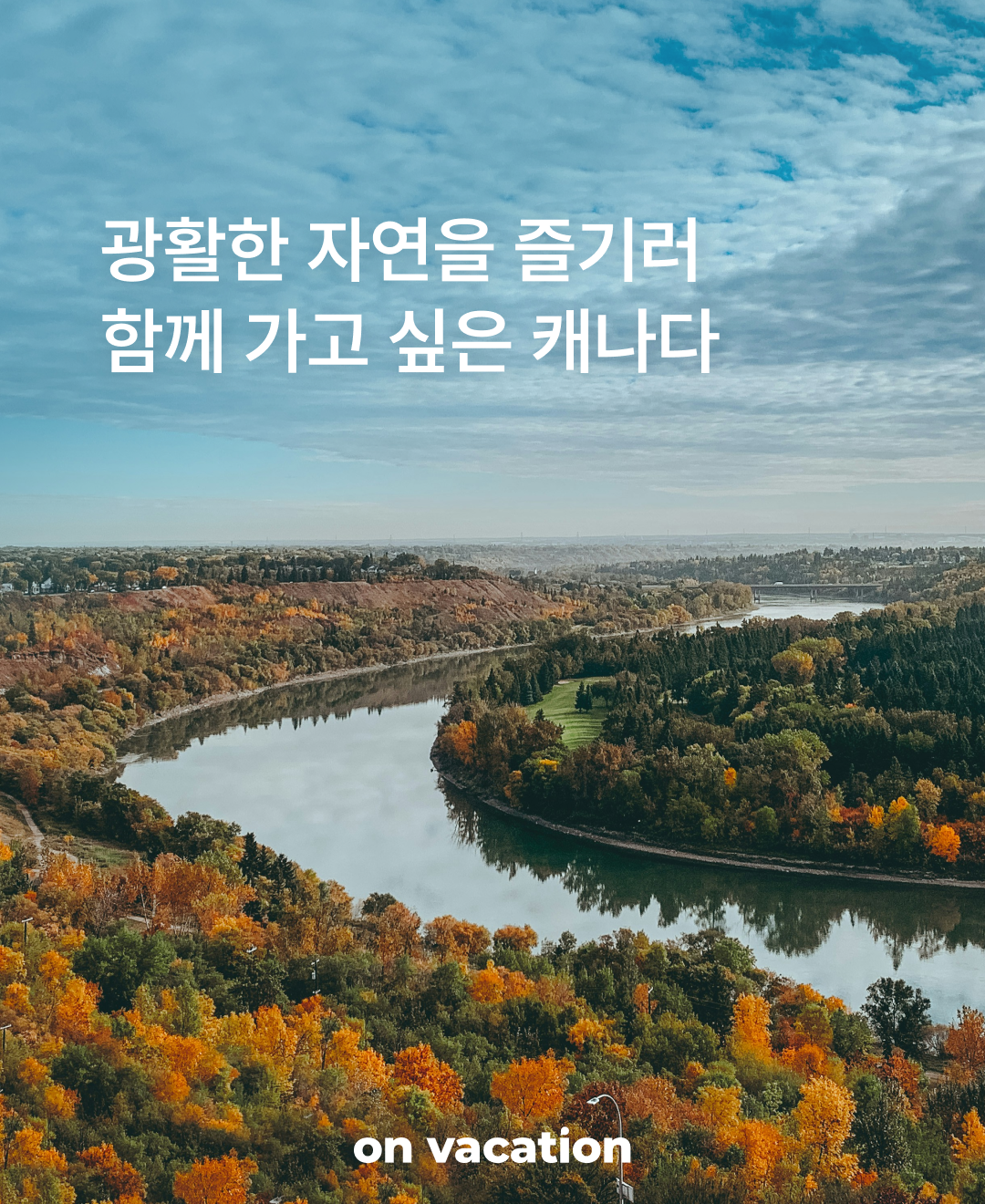 함께 가고 싶은 알버타_01.png