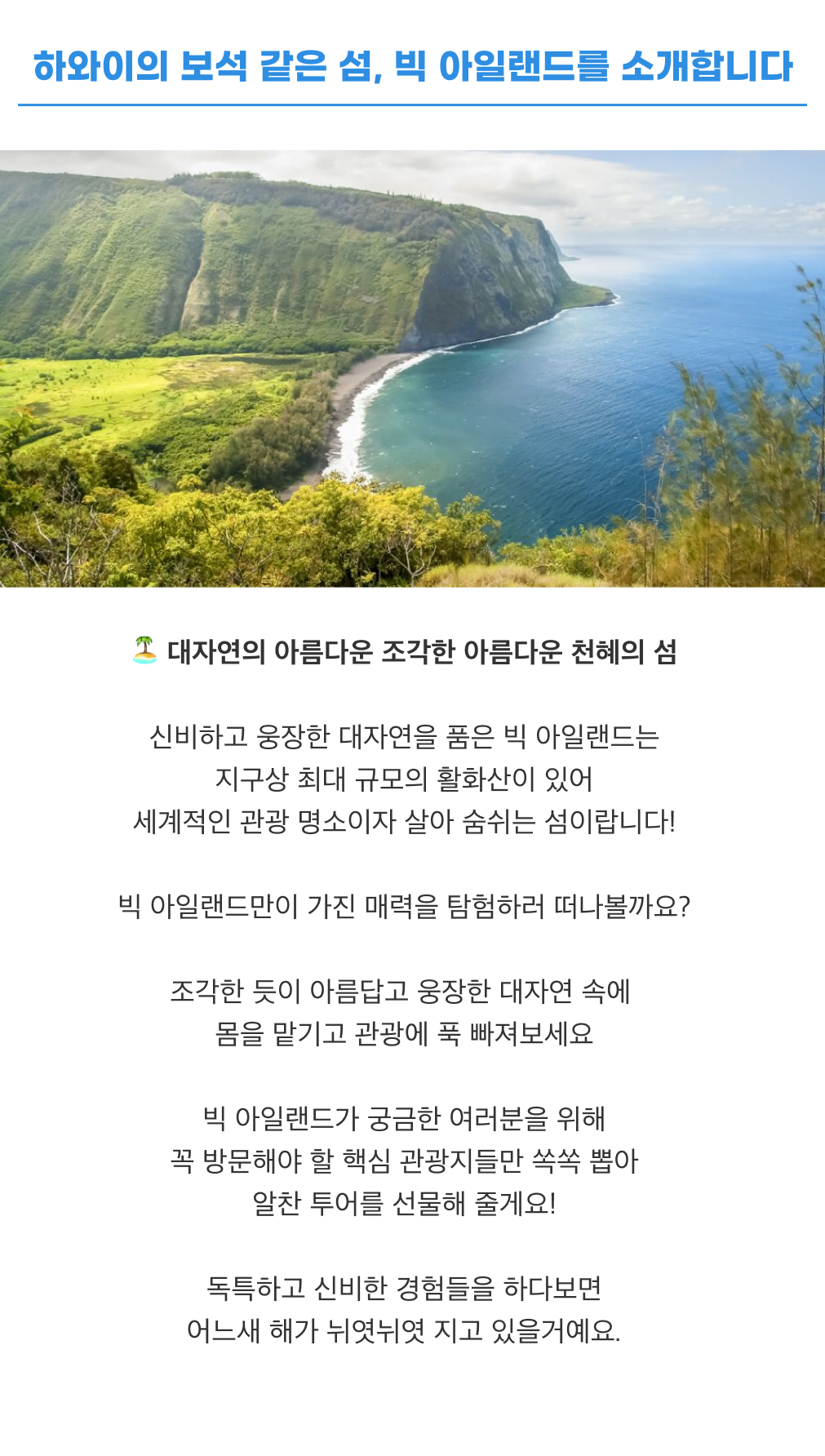 하와이 빅 아일랜드 올인원 투어2.png