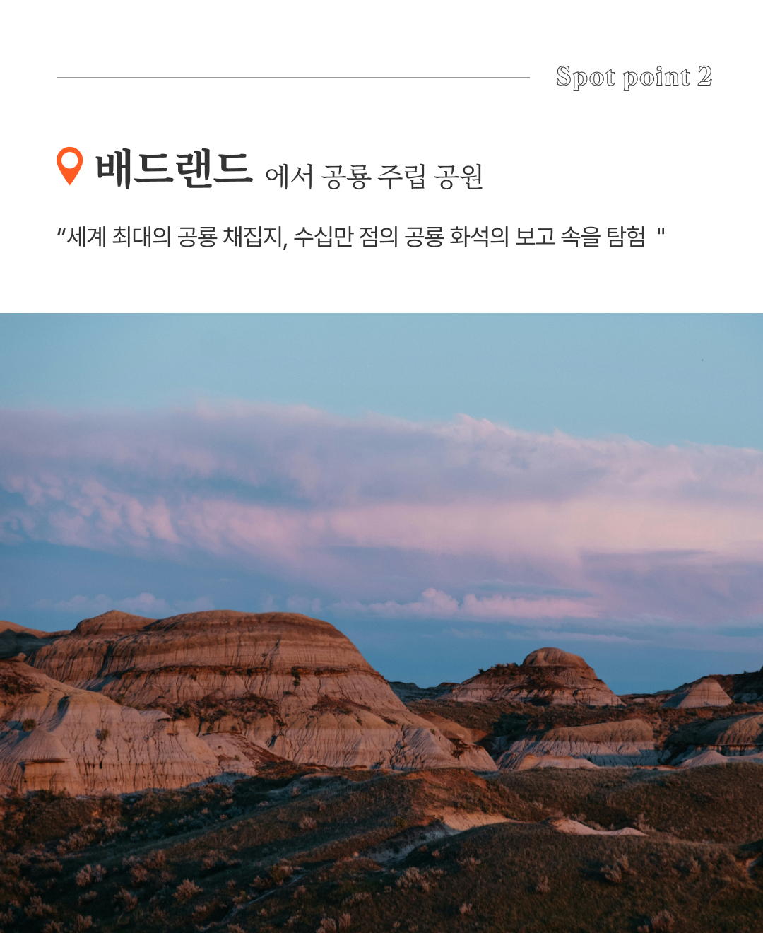 함께 가고 싶은 알버타_04.png