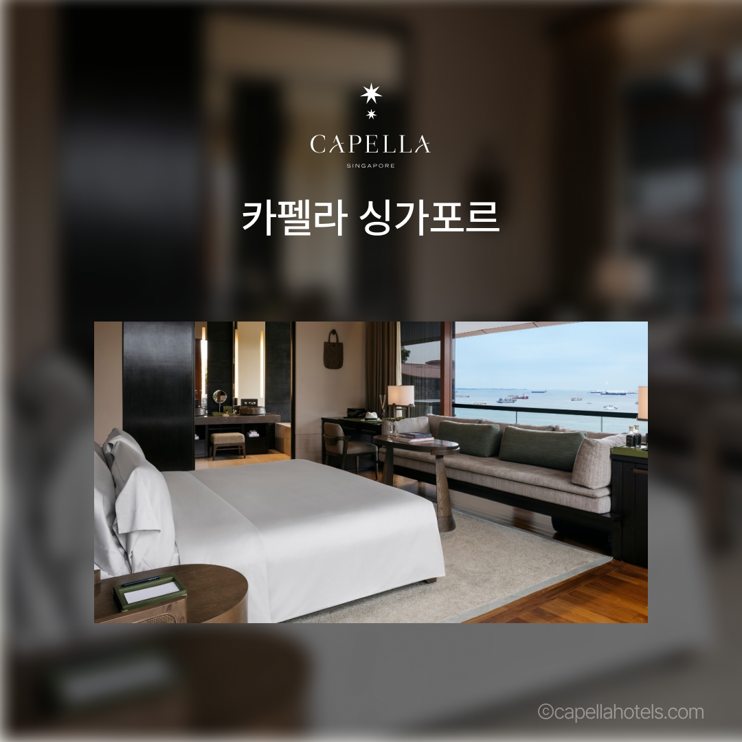 맛집_카펠라싱가포르_07.png