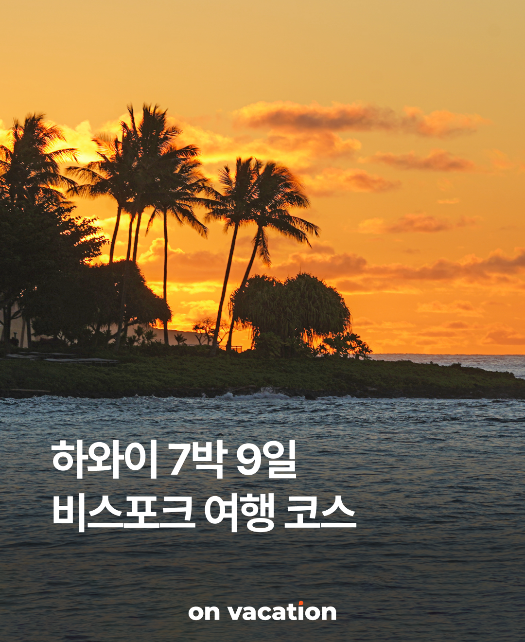 OV 상품 소개_하와이_01.png