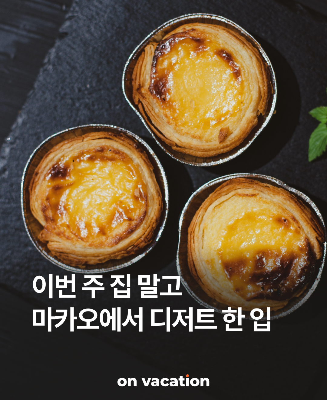 이번주집말고_마카오디저트_230911_01.png