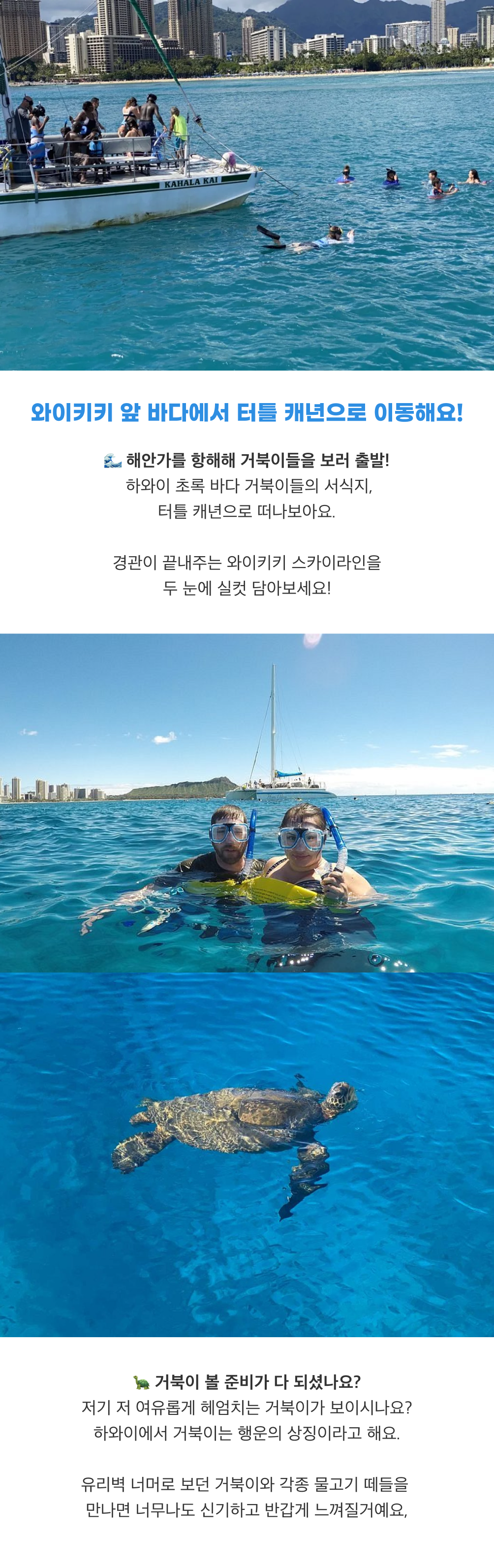 바다거북이와 함께 하는 스노쿨링2.png