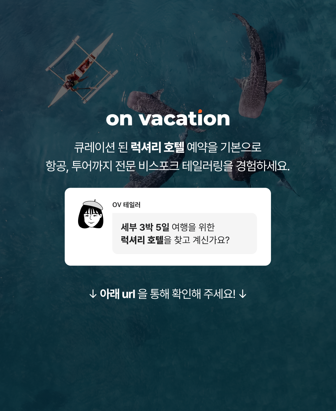 OV 상품 소개_세부_08_블브.png