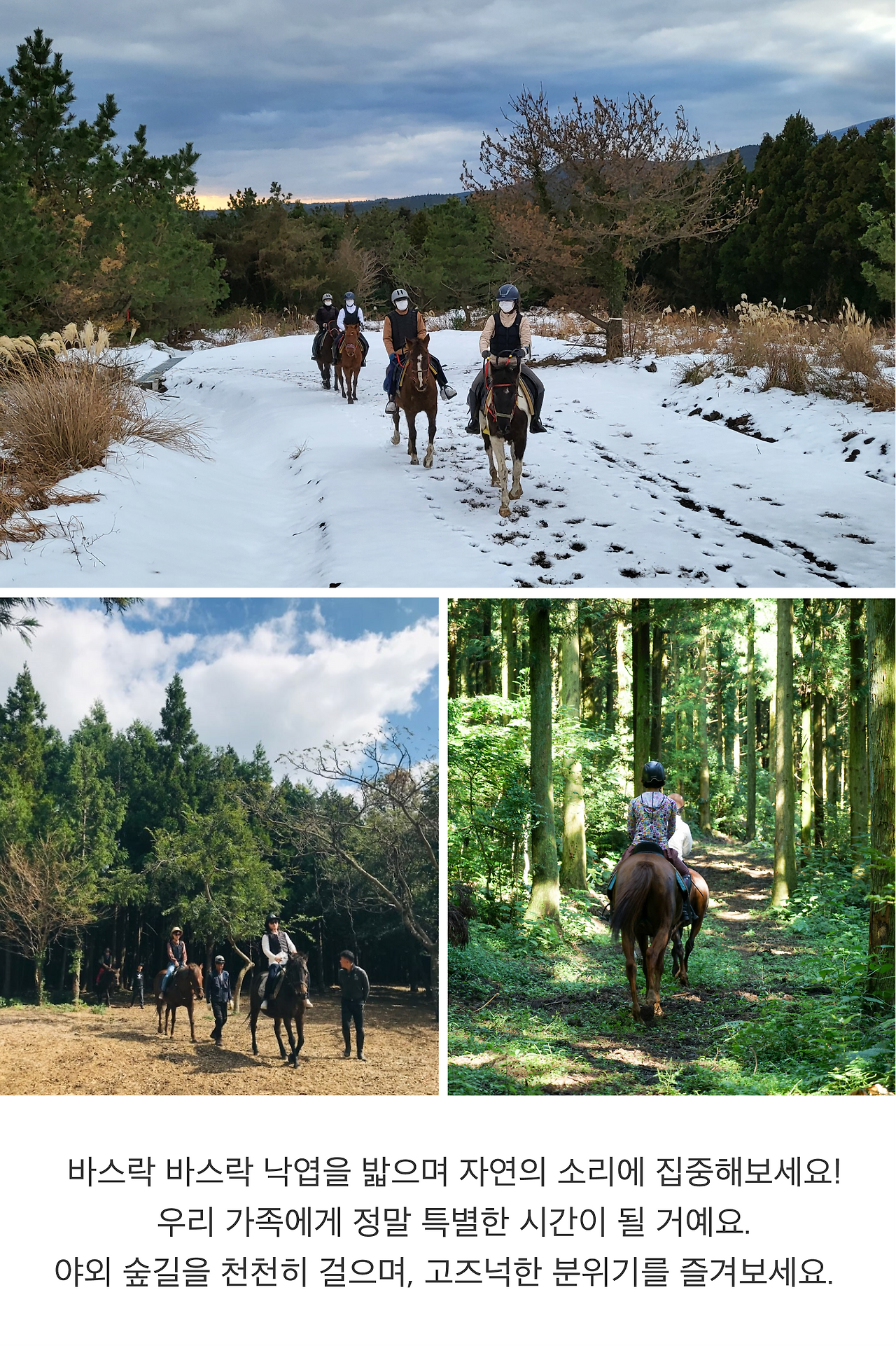 의귀리 승마체험2-2.png