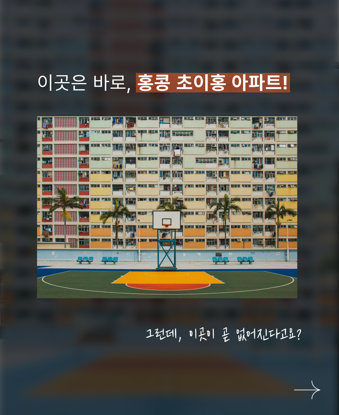 정보성 콘텐츠_2.png
