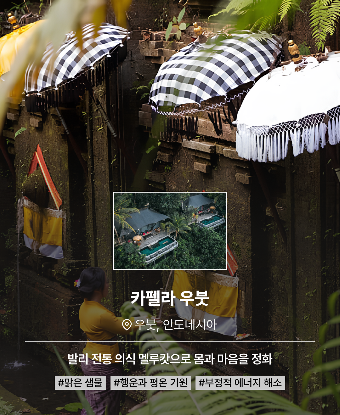 설날 컬렉션_09.png