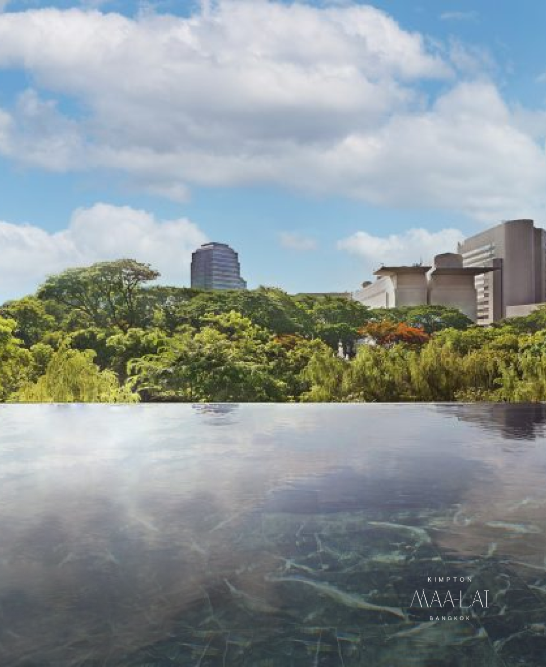킴튼말라이방콕09.png