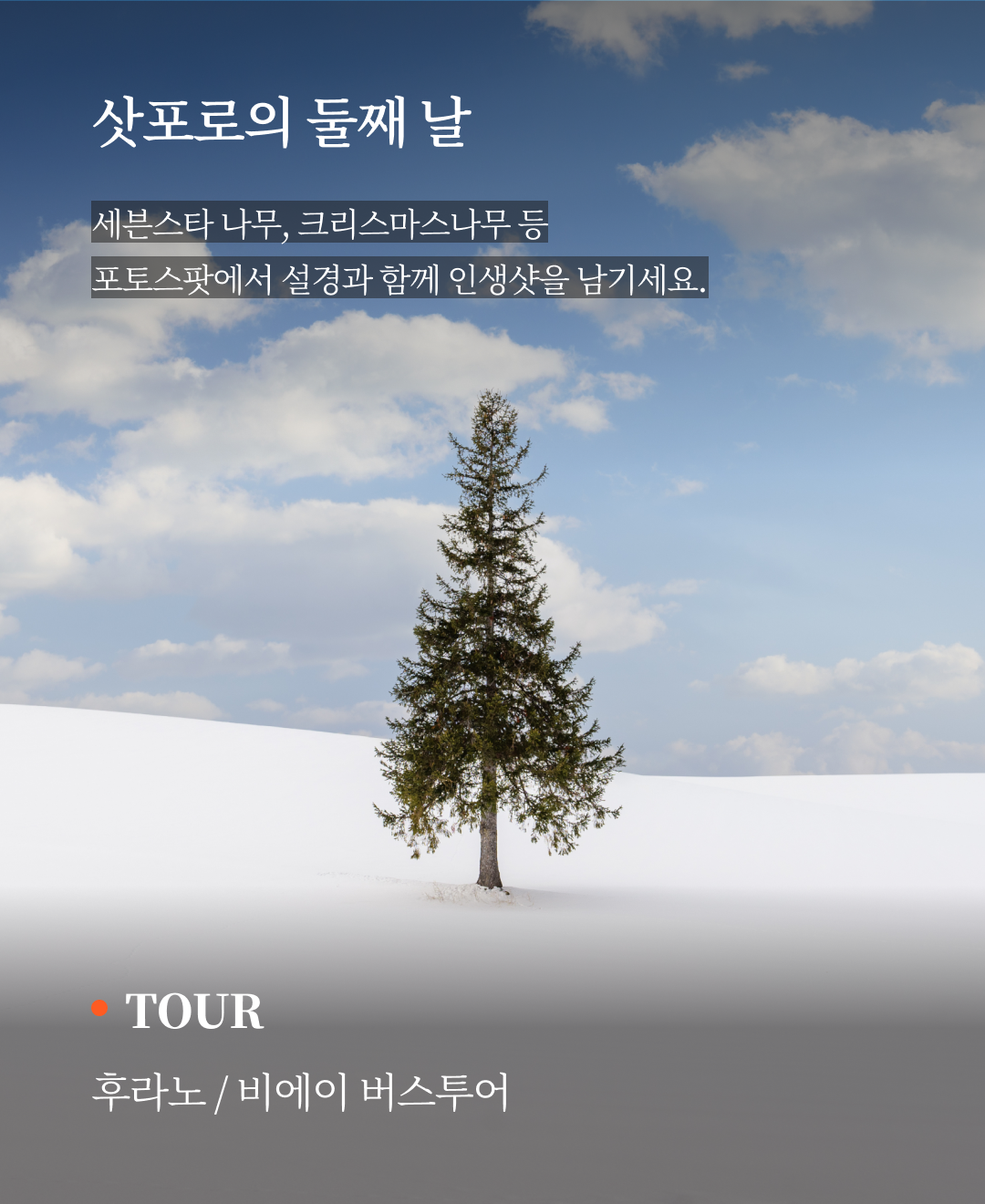 OV 상품 소개_삿포로_06.png