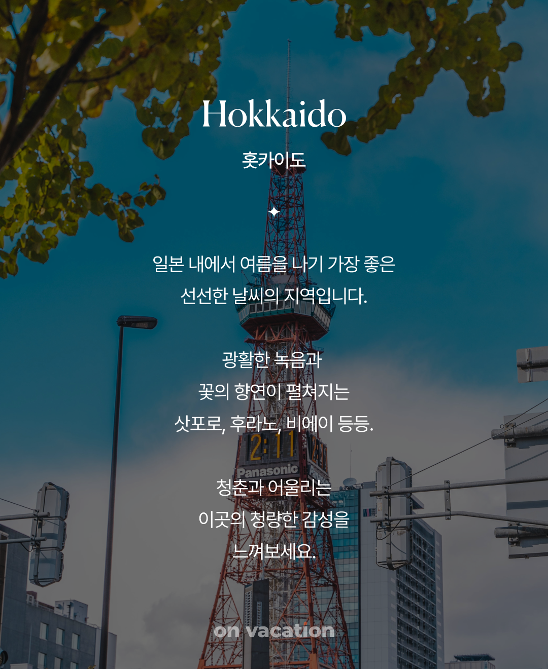 함께 가고 싶은 훗카이도_02.png