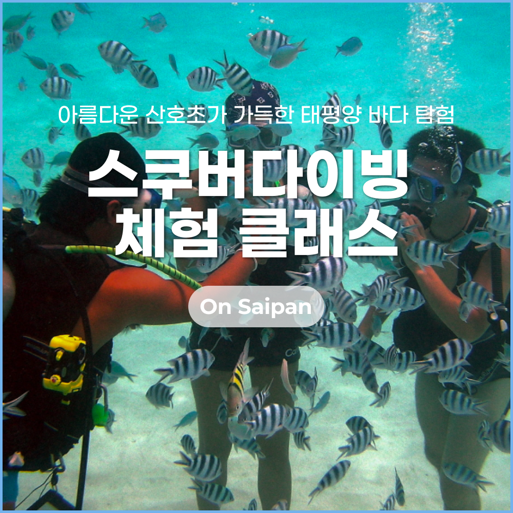 스쿠버다이빙 썸네일.png