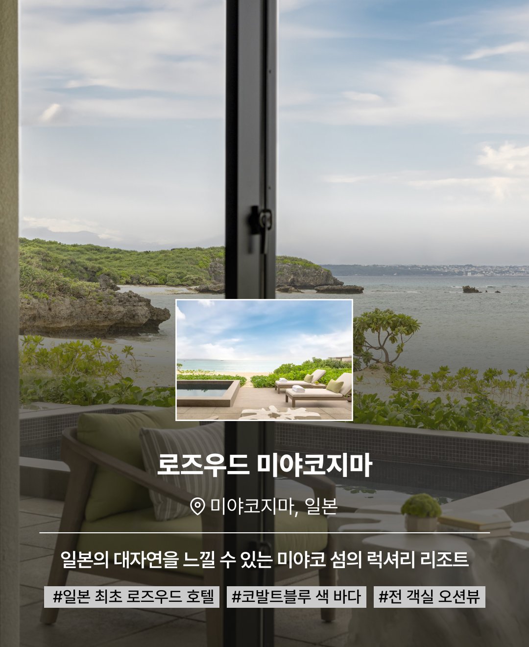 상반기 신상_04.png