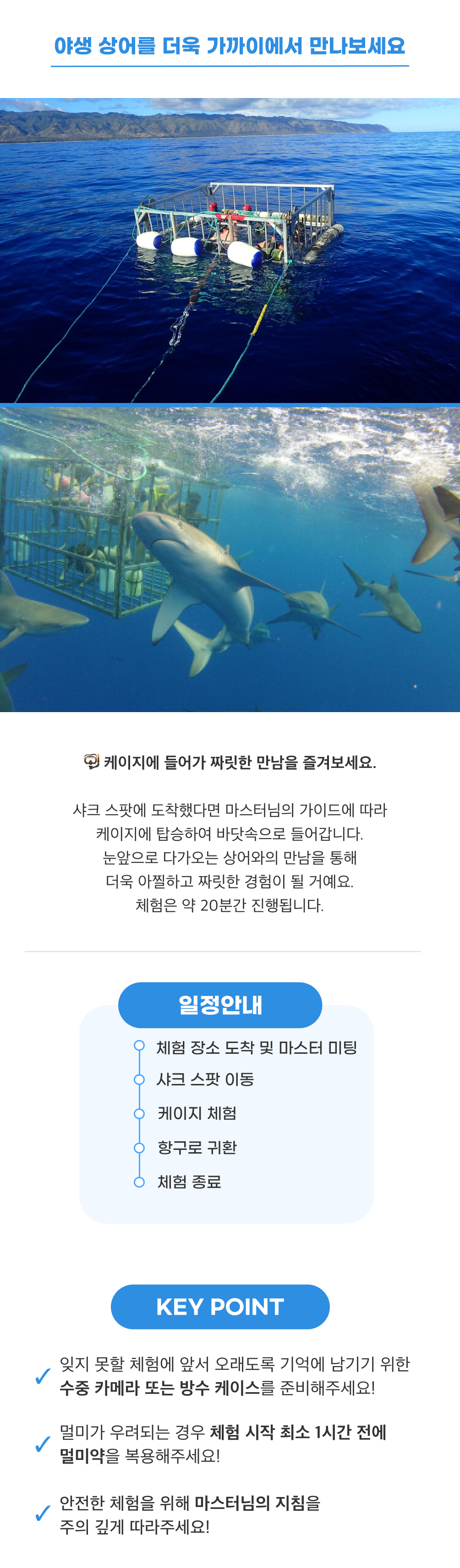 하와이 샤크 다이브3.png