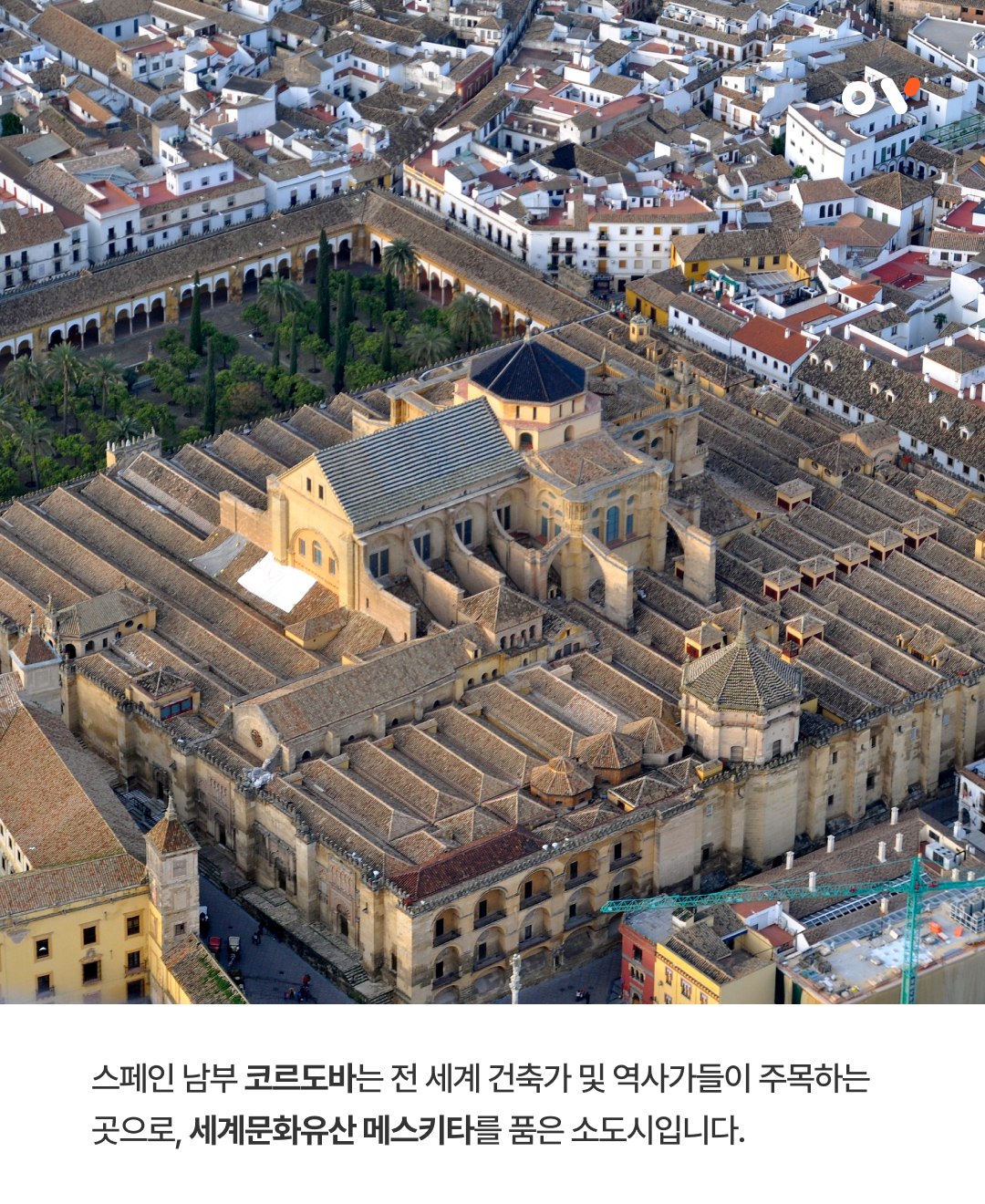 OV 트래블 포인트_03.png