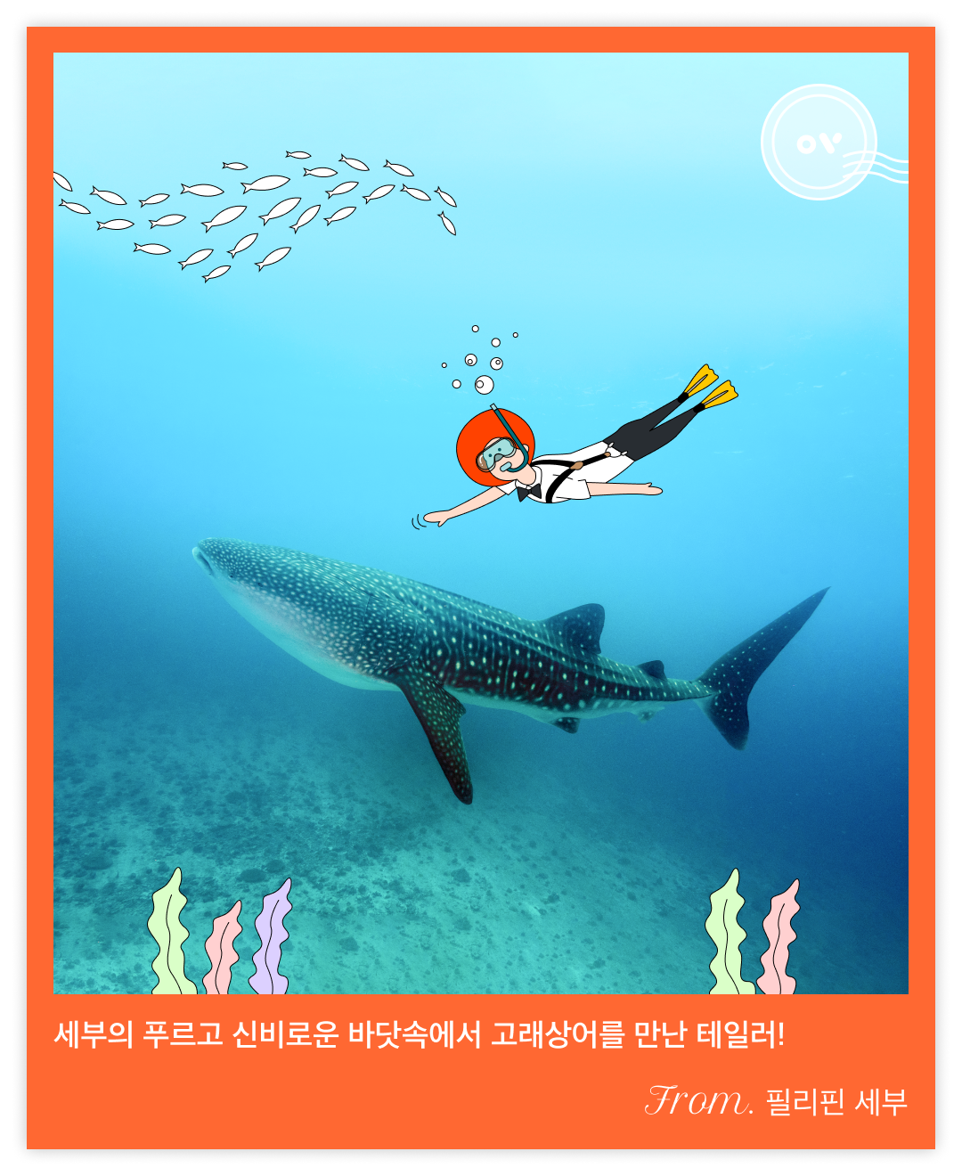 221204_드로잉콘텐츠_세부 고래상어_내지.png