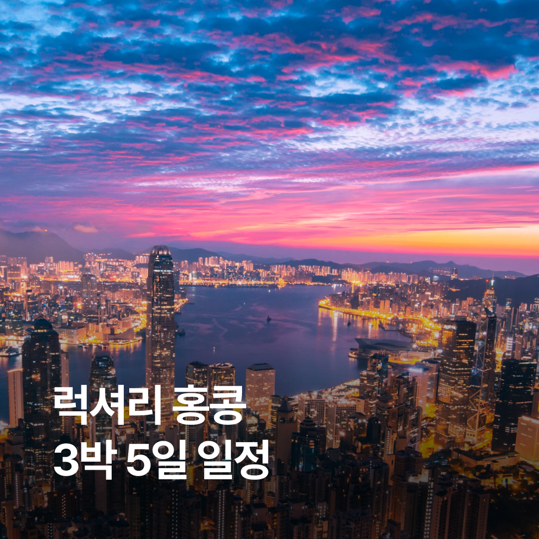 홍콩 블썸.png