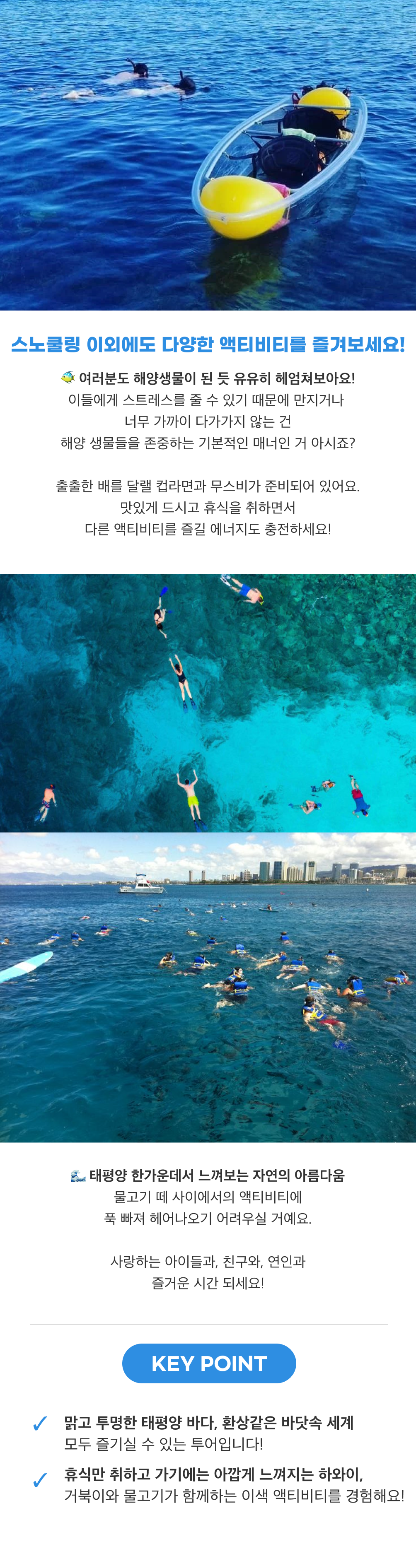 바다거북이와 함께 하는 스노쿨링3.png