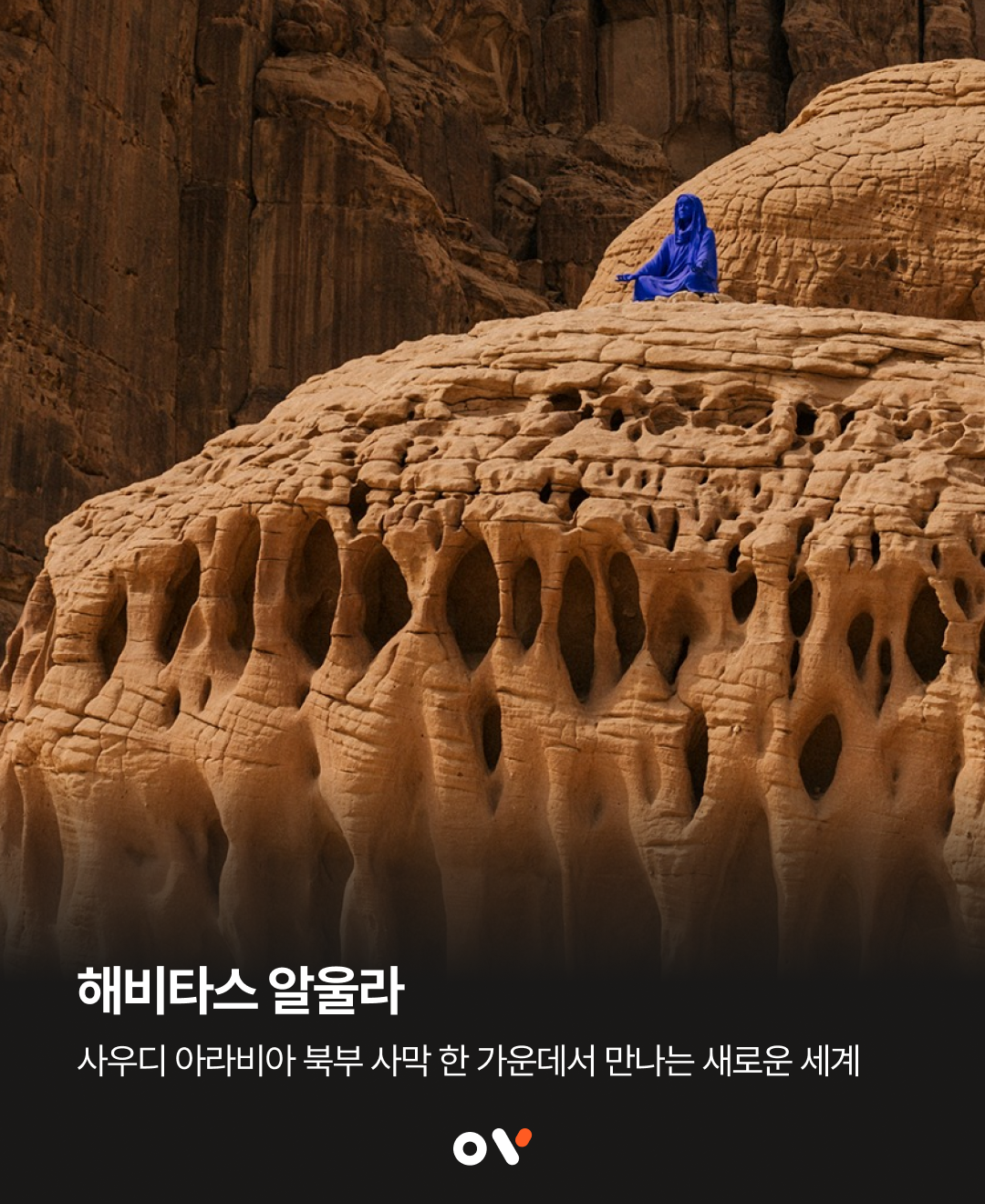 해비타스 알울라02.png