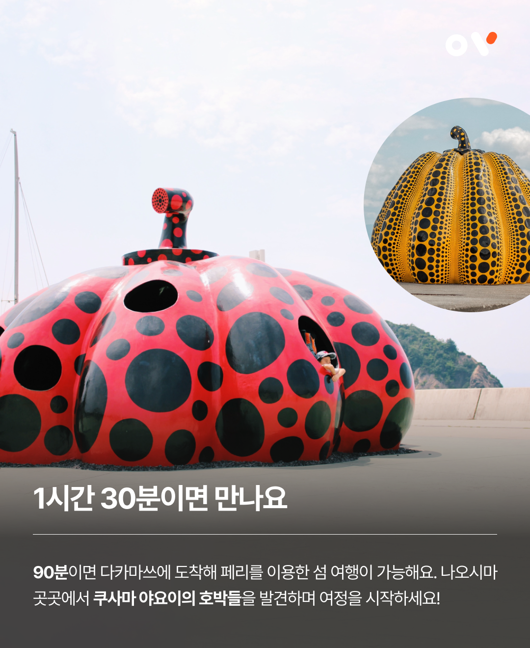 OV 핵심스팟_05.png