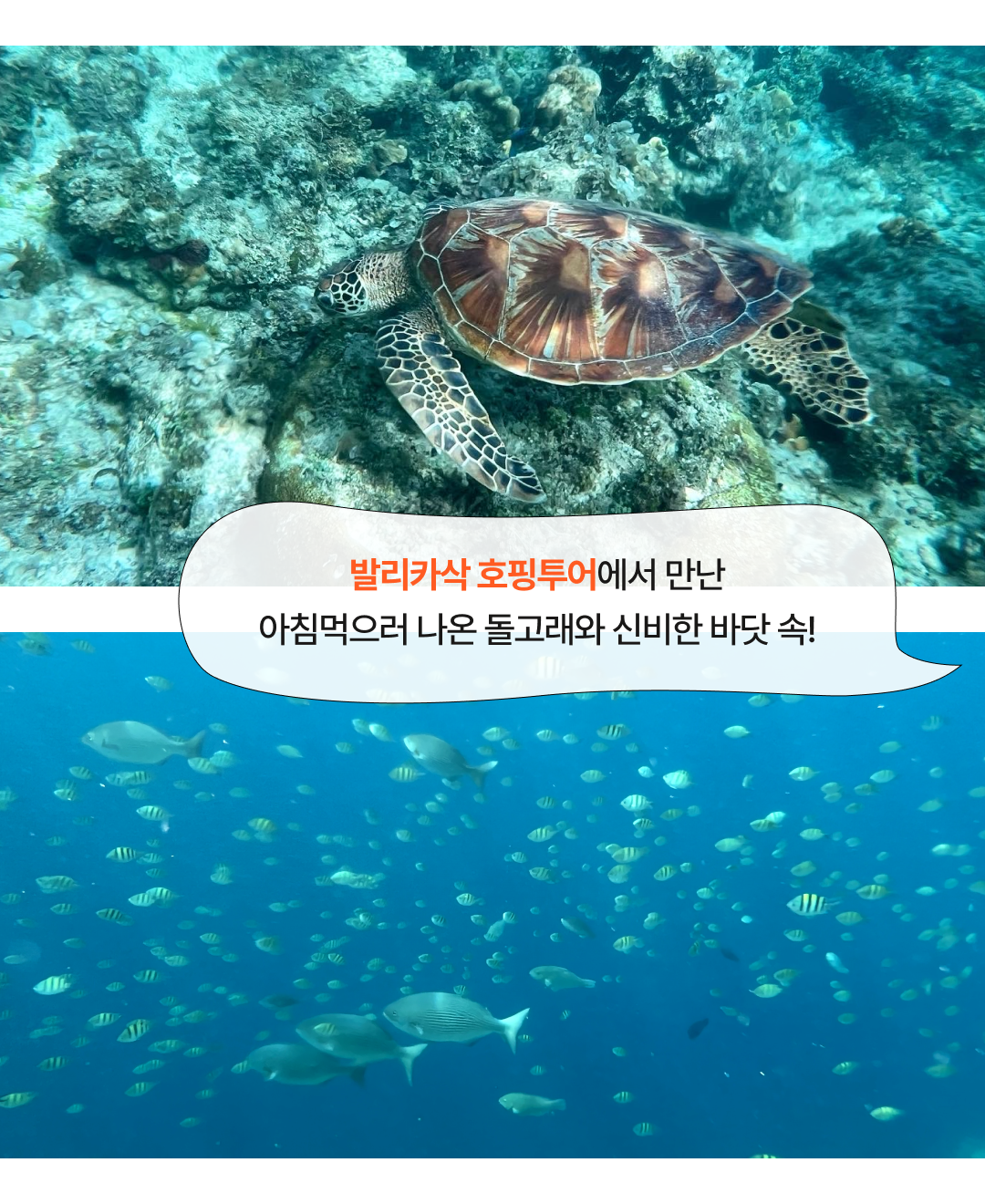 후기형콘텐츠_0125_05.png