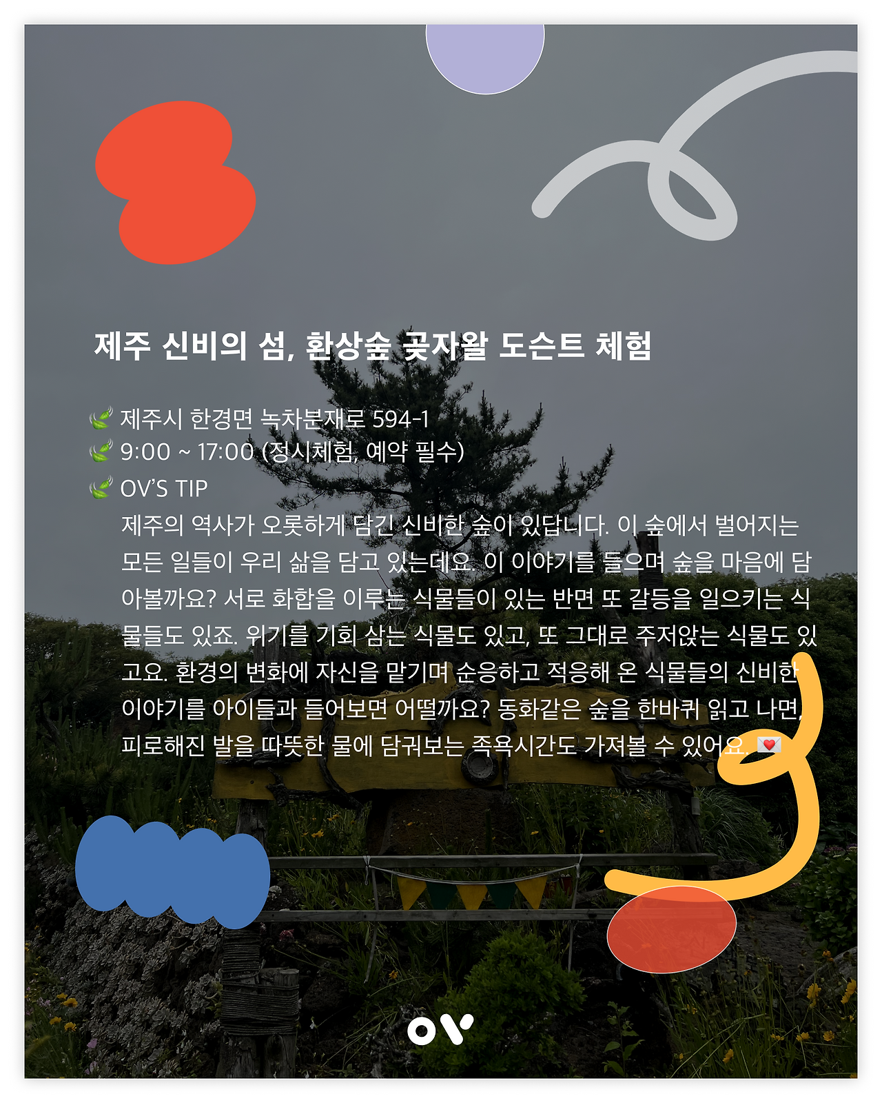 환상숲곶자왈02450.png