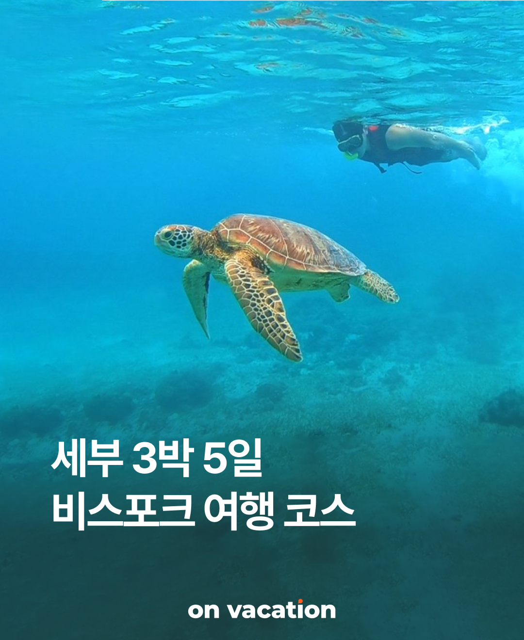 OV 상품 소개_세부_01.png