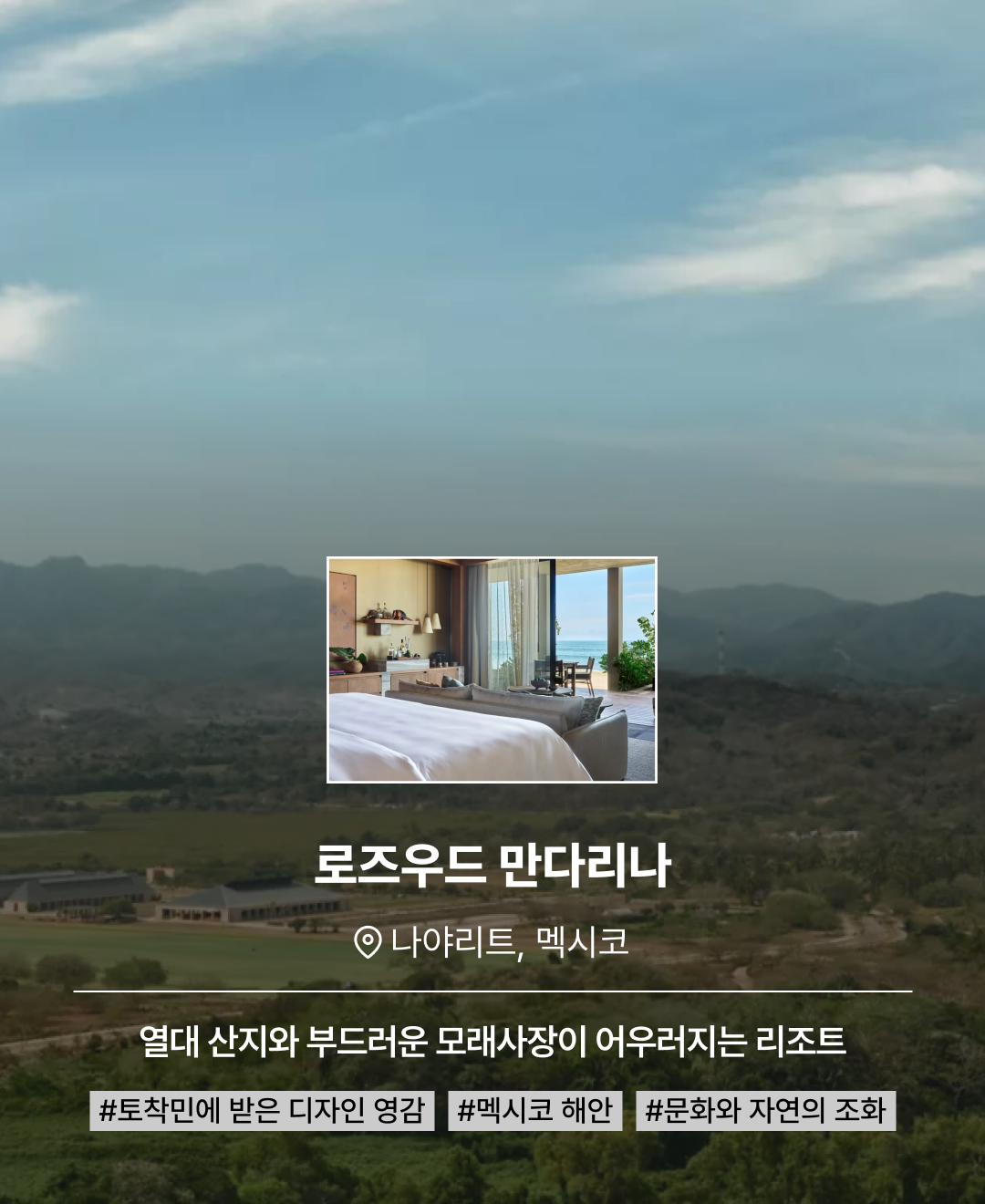 상반기 신상_07.png