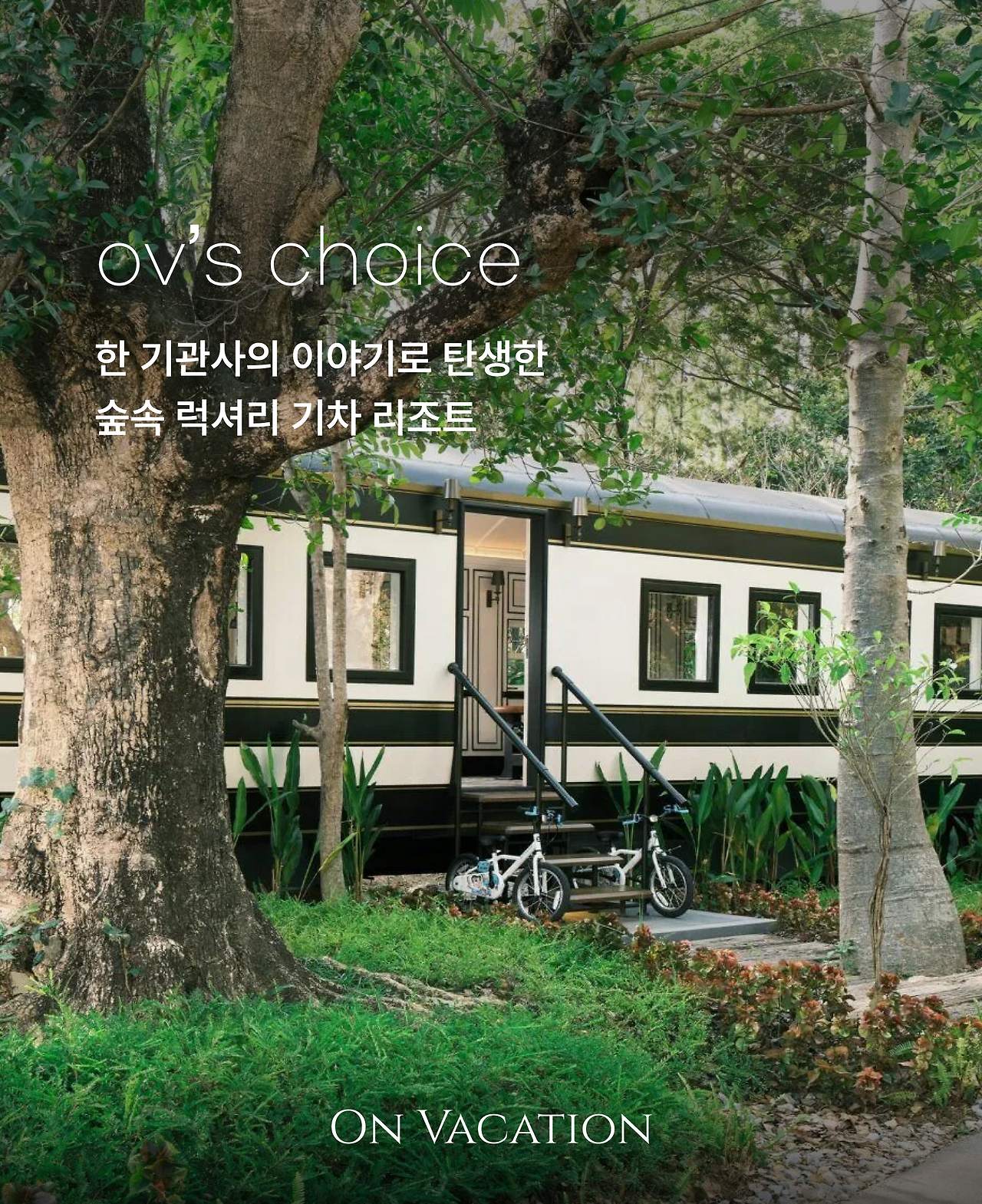 인터컨티넨탈 카오야이_01.png