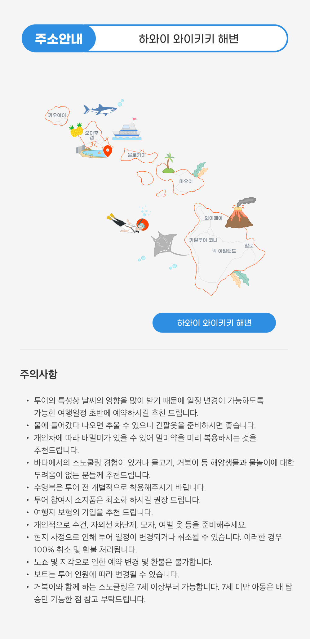바다거북이와 함께 하는 스노쿨링4.png