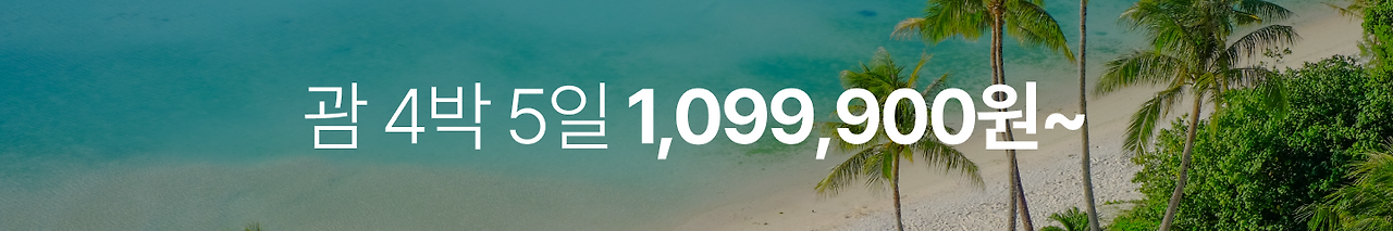 괌 랜딩 개선_0.png