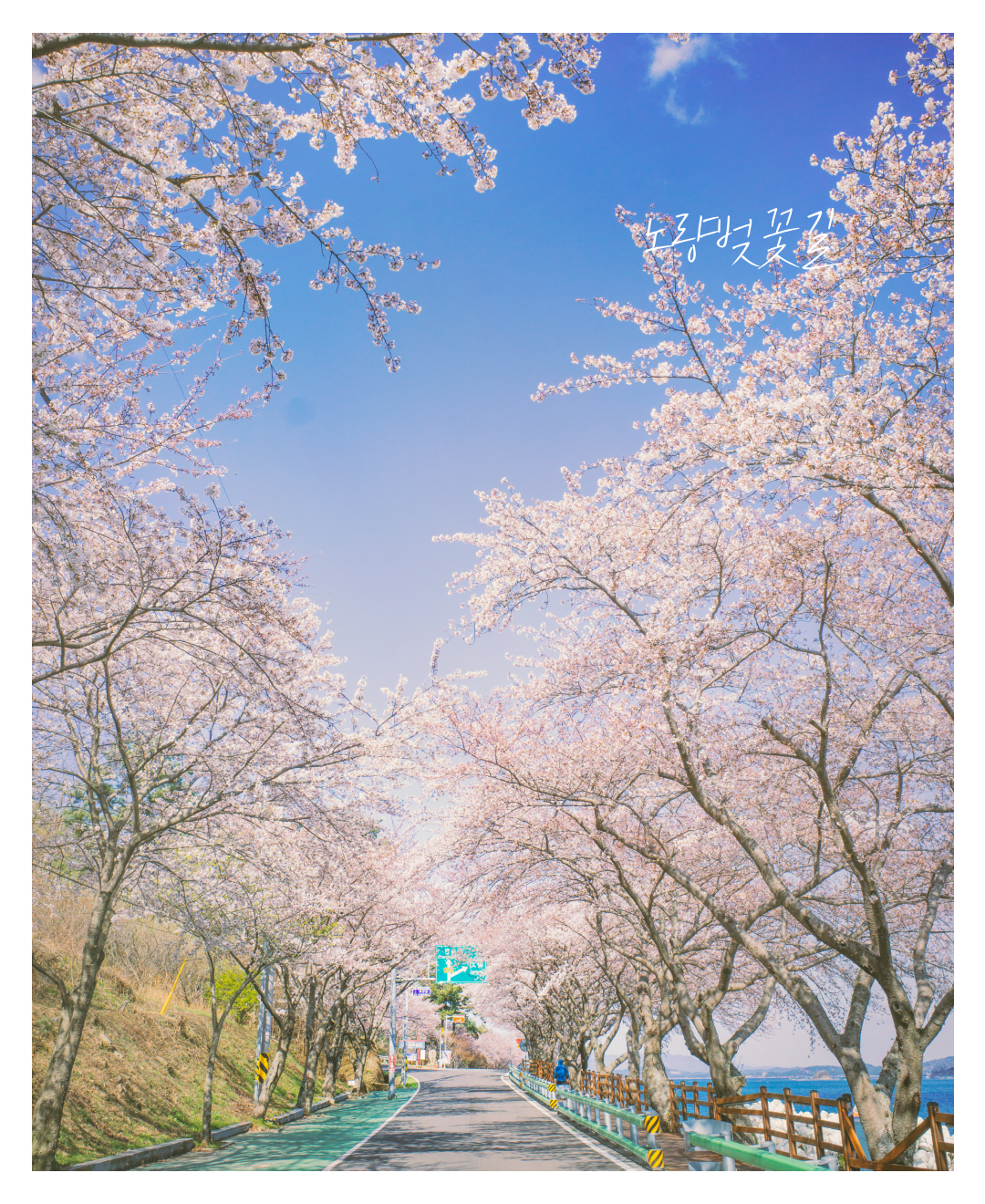 남해봄05.png