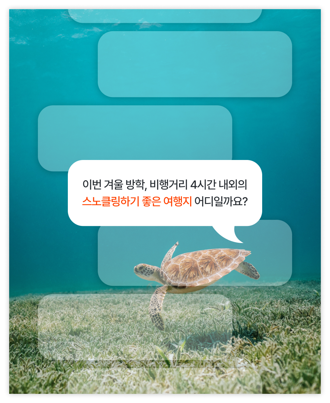 브랜드콘텐츠 1128_01.png