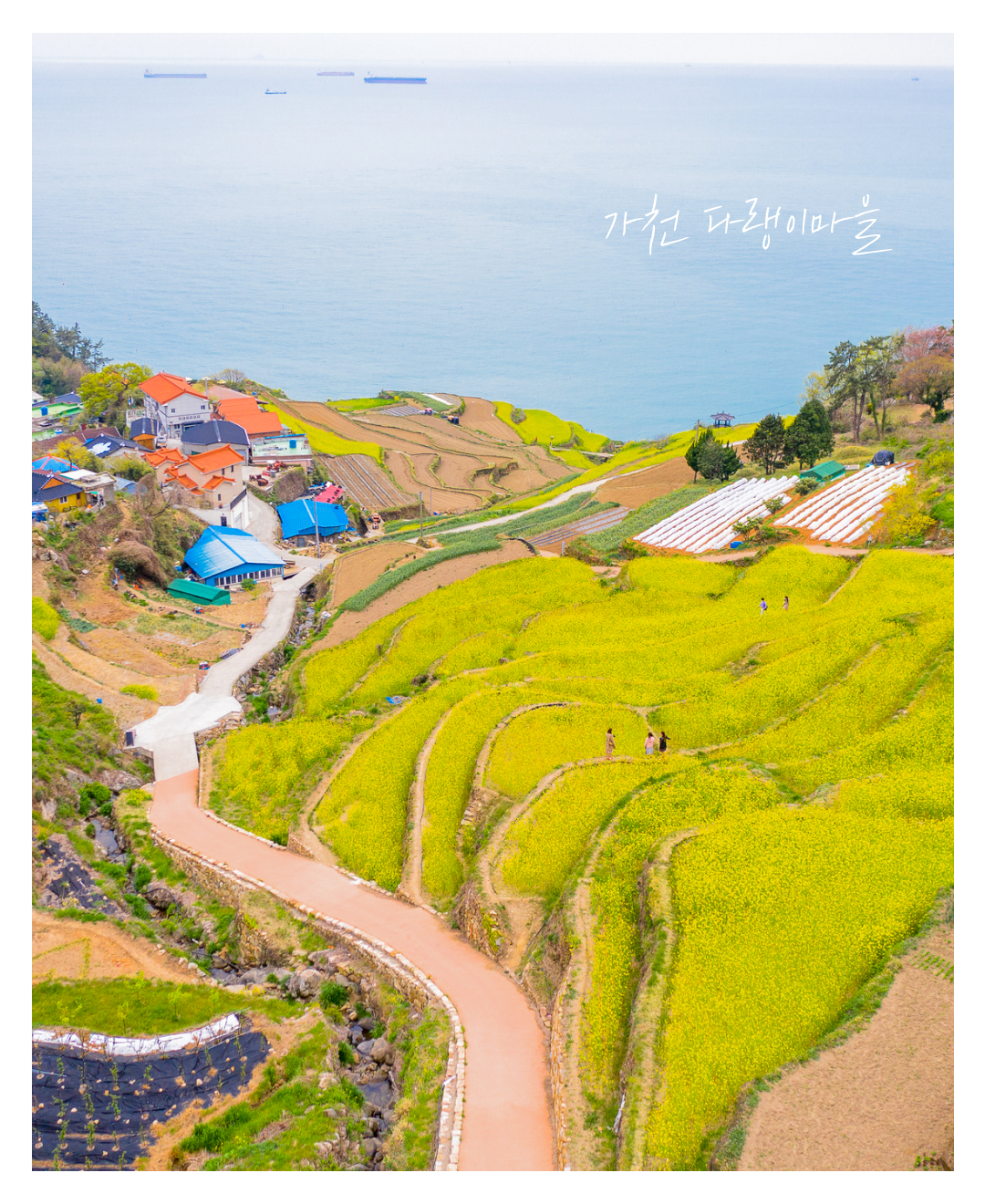 남해봄02.png